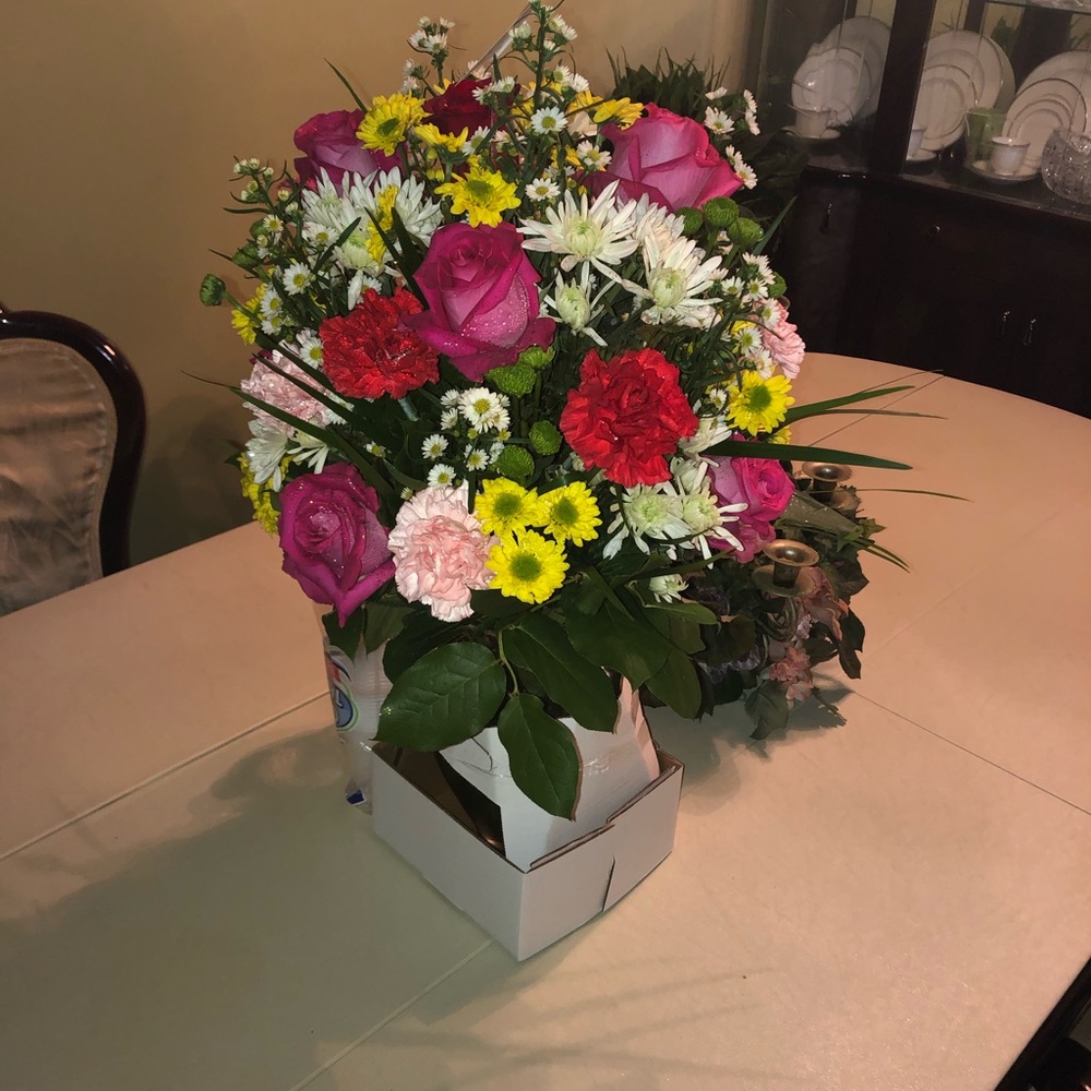 Meet your Posher, Vanessa